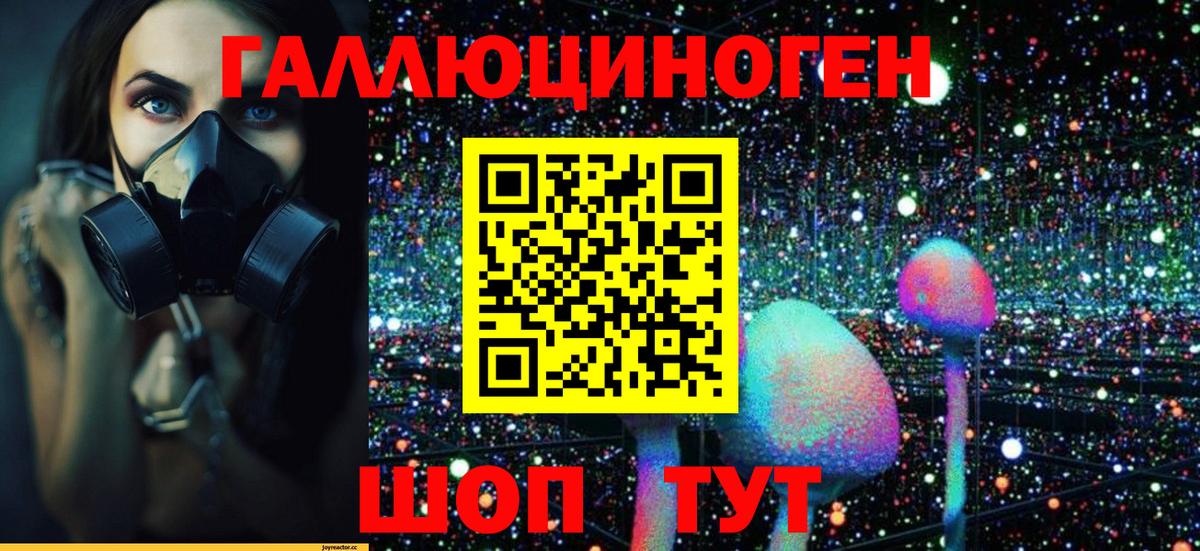 Кондопога  Галлюциногенные грибы Psilocybine cubensis  Вход с VPN 