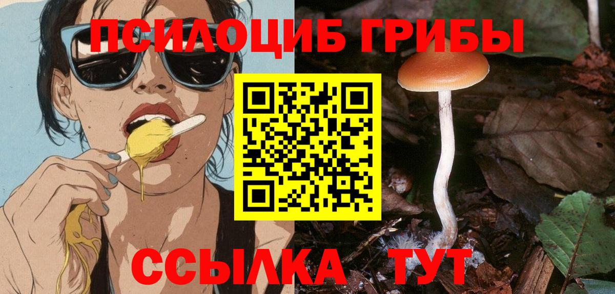 Галлюциногенные грибы Cubensis Кондопога